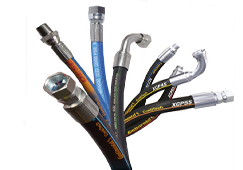 1671168381903974.jpg 1671168381903974.jpg